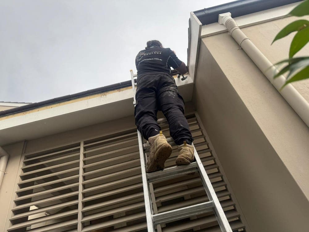 Crown Roofers accessing a Sydney roof for an assessment