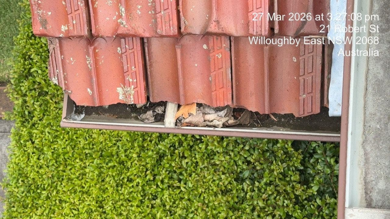 Gutter replacement in progress removing old gutters Willoughby East Sydney